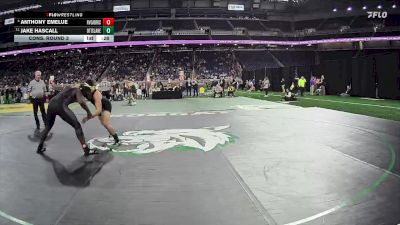 D4-215 lbs Cons. Round 3 - Anthony Emelue, Riverview Gabriel Richard vs Jake Hascall, Otisville LakeVille Memorial