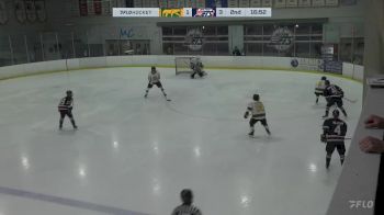 Replay: Home - 2024 CHI Cougars vs Jets | Oct 13 @ 5 PM