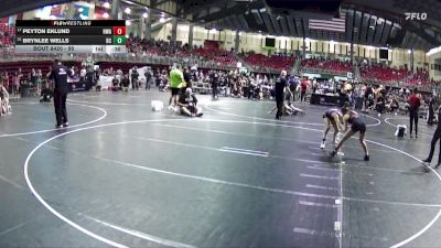 95 lbs 1st Place Match - Peyton Eklund, HWA vs Brynlee Wells, Battle Creek