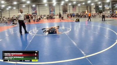 88 lbs Rd# 10- 4:00pm Saturday Final Pool - Greyson McDonald, Dynasty RED vs Mateo Montanaro, Rebellion