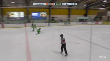 Replay: Home - 2024 Little Caesars vs Chicago Mission | Dec 1 @ 1 PM