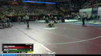 170 lbs Quarterfinal - Reese Callahan, Whitfield vs Trey Brewer, Bolivar