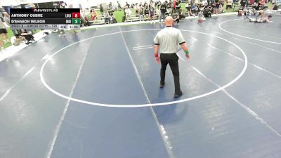 Junior Boys - 132 lbs Champ. Round 2 - Brody Vogelsberg, Champions Wrestling Club vs Tyler Ribeiro, Minnesota