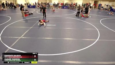 98 lbs Quarterfinal - DaMonte Rausch, Maple Grove Wrestling Club vs Parker Madison, Summit Wrestling Academy