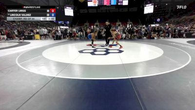 100 lbs Champ. Rd Of 64 - Carter Lirgg, SC vs Lincoln Valdez, CO