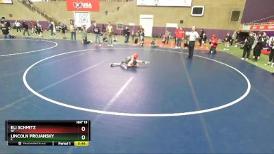 56 lbs 2nd Place Match - Lincoln Projansky, IL vs Eli Schmitz, WI