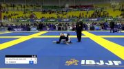 CECILIA AKATSUKA WALEVEIN vs BEATRIZ TESSER 2023 Brasileiro Jiu-Jitsu IBJJF