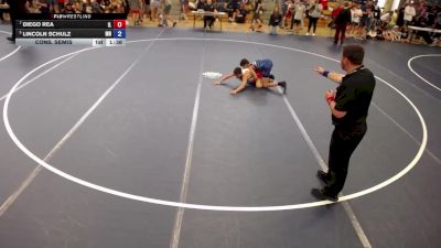 105 lbs Cons. Semis - Diego Rea, IL vs Lincoln Schulz, MN