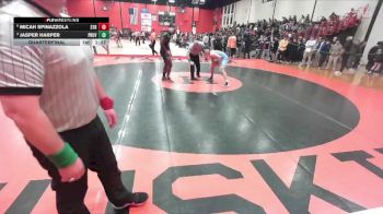 165 lbs Quarterfinal - Jasper Harper, New Lenox (PROVIDENCE CATHOLIC) vs Micah Spinazzola, Chicago (ST. RITA)