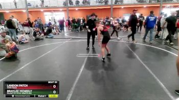 95 lbs Semifinal - Braylee Mcneely, Palmetto State Wrestling vs Landon Patch, Hard Rock