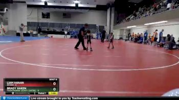 45 lbs Semis & 1st Wrestleback (8 Team) - Liam Hanan, Becker vs Brady Haken, Fulda/Murray County Central