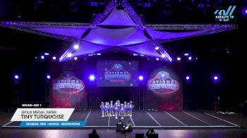 Gold Medal Gems - Tiny Turquoise [2024 L1 Tiny - Novice - Restrictions Day 1] 2024 America's Best Grand Nationals