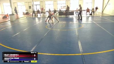 87 lbs Placement Matches (8 Team) - Riley Crandall, Pennsylvania Red vs Brighton Prine, Georgia