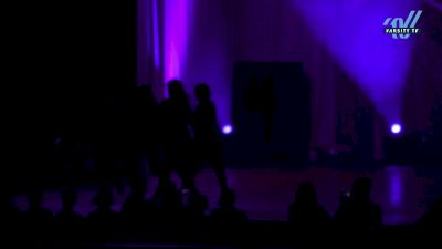 Starz Dance Academy - Elite All Starz Large Senior Pom [2023 Senior - Pom Day 1] 2023 The Dance MAJORS