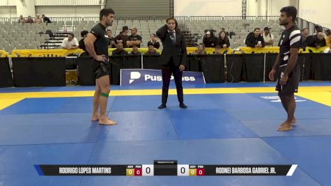 Rodnei Barbosa Gabriel Jr. vs Rodrigo Lopes Martins 2025 World IBJJF Jiu-Jitsu No-Gi Championship