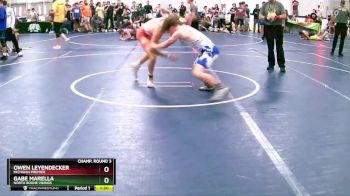 119 lbs Champ. Round 3 - Gabe Marella, North Boone Vikings vs Owen Leyendecker, Michigan Premier