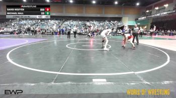 115 lbs Consi Of 64 #2 - David Nguyen, Bronco Wrestling Club vs Michael Hall, Sierra Sabers