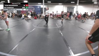 72 lbs Quarterfinal - Ryan Mickendrow, Triumph vs Esa Hannigan, All I See Is Gold Academy