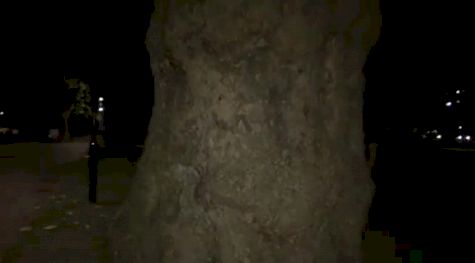 Day 3 Crack Recap with Kensington and Dick