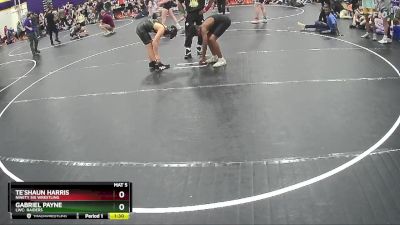 107 lbs Round 3 - Te`Shaun Harris, Ninety Six Wrestling vs Gabriel Payne, LWC: Raiders