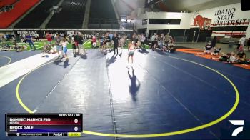 80 lbs Semifinal - Dominic Marmolejo, Nevada vs Brock Gale, Idaho