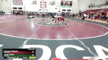 138 lbs Cons. Round 5 - Kloe Fogle, Caldwell vs Kaylie Apodaca, Columbia