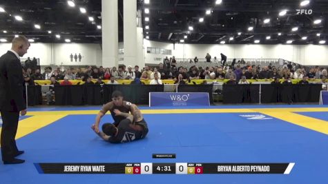 Bryan Alberto Peynado vs Jeremy Ryan Waite 2025 World IBJJF Jiu-Jitsu No-Gi Championship
