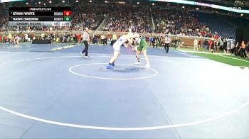 D3-157 lbs Champ. Round 1 - Hawk Harding, Williamston vs Ethan White, Birch Run
