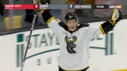 Minnesota Wild Prospect, Cancer Survivor Pavel Novak Scores In ECHL Game