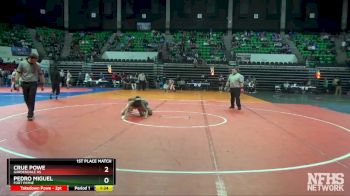 106 lbs 1st Place Match - Pedro Miguel, Fort Payne vs Crue Powe, Gardendale Hs