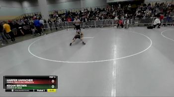 82 lbs 3rd Place Match - Harper Hamacher, Pursuit Wrestling Minnesota vs Kegan Brown, Legends Of Gold
