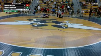 125 lbs Cons. Round 3 - Carson Nelson, Ridgewater Community College vs Chris Carpenter, Iowa Central Community College
