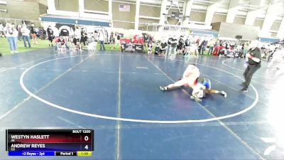 138 lbs Cons. Round 3 - Westyn Haslett, AK vs Andrew Reyes, CO