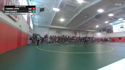 138 lbs Cons. Round 4 - Cash Garrett, Farmington vs Dominic Lippis, Canon City