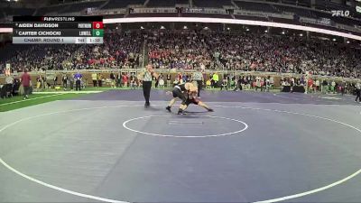 D2-126 lbs Champ. Round 1 - Carter Cichocki, Lowell HS vs Aiden Davidson, Port Huron HS