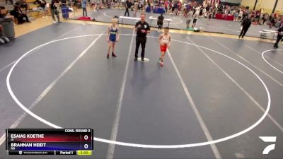 87 lbs Cons. Round 3 - Esaias Koethe, IA vs Brahnan Heidt, ND