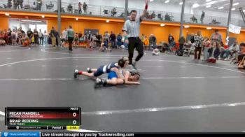 58 lbs Semifinal - Micah Mandell, Eastside Youth Wrestling vs Briar Redding, Team Tigers