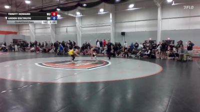 117 lbs Quarterfinal - Arden Esctruth, Siena Heights vs Trinity Howard, West Liberty