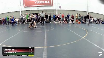119 lbs Cons. Semi - Connor Malin, Shenandoah Valley Wrestling Cl vs Liam Bentley, Virginia Team Predators