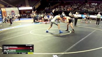 132 Class 1 lbs Quarterfinal - Dillan Chisam, St. Pius X (Kansas City) vs Tyler Spicknall, Palmyra