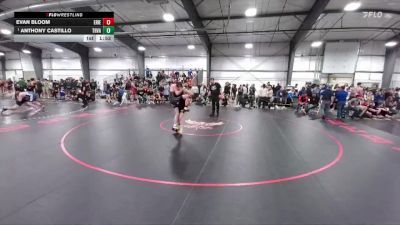 106 lbs Quarterfinal - Anthony Castillo, Thompson Valley vs Evan Bloom, Erie