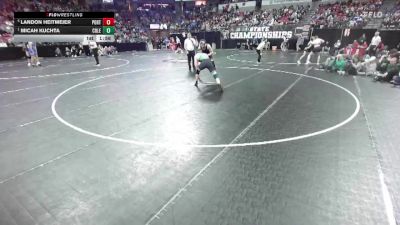 D2-175 lbs Semifinal - Micah Kuchta, Coleman vs Landon Heitmeier, Portage