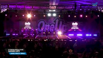 Pittsburgh Pride All Stars - Savage Cats [2025 L3 Youth - Small Day 2] 2025 One Up Grand Nationals