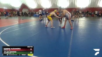 219-223 lbs Round 3 - Dominic Alexandria, Batavia vs Kyler Novitski, Lena/Bonduel