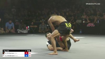 Keith Krikorian vs Damien Anderson 2022 ADCC West Coast Trial