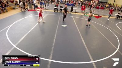 98 lbs Quarterfinal - Gavin Olenek, IL vs Hawke Garrett, WI