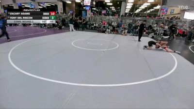 86 lbs Cons. Round 3 - Michael Dixon, All American Wrestling Club vs Ethan Campos, Dumas Wrestling