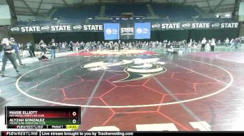 100 lbs Semifinal - Alyzah Gonzalez, Young Suns Wrestling Club vs Maisie Elliott, Mat Demon Wrestling Club