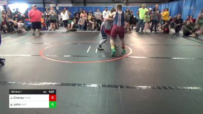 160 lbs Rr Rnd 1 - Jonathon Chaney, Phoenix vs Garrett Yoho, Independent