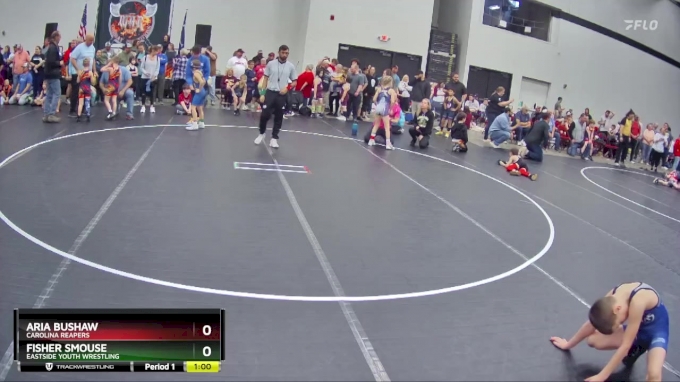 70 lbs Quarterfinal - Fisher Smouse, Eastside Youth Wrestling vs Aria ...